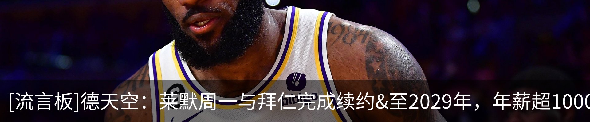 新闻动态